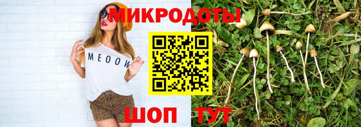Россия  Галлюциногенные грибы мицелий  Вход с VPN  Псилоцибиновые грибы Cubensis 