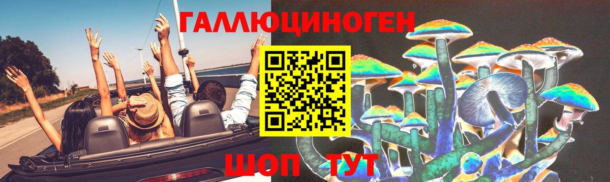 Псилоцибиновые грибы Psilocybe Россия